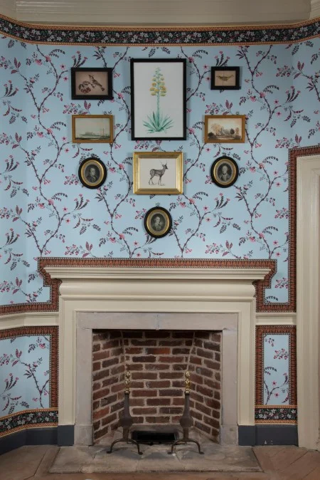 The art grouping over the mantlepiece includes: aloe botanical watercolor (center), Indian Blackbuck printwork, watercolors, Peale mezzotints portraits.