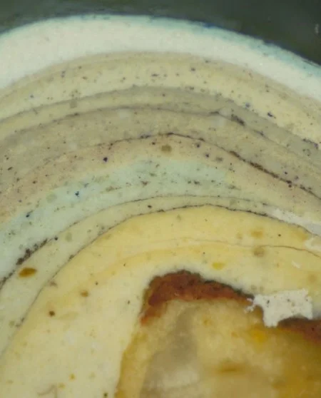 Paint sample from the Front Parlor which shows all 15 layers. The reddish-brown (darker) spot at the bottom is the first paint layer and the opaque area below it is plaster. Around the middle are two bluish layers. MVLA.