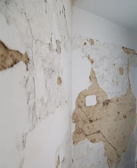 Plaster in need of conservation, MVLA.