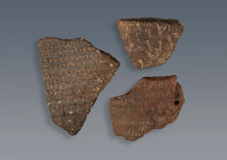 A variety of Late Woodland ceramics recovered from sites at Mount Vernon. (MVLA)