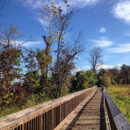 The boardwalk and living shoreline at Accokeek Creek are just a few of the things to discover in Piscataway Park. (Zachary Whitlow / NPS Photo)