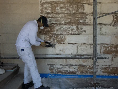 Removing paint from the west front of the Mansion, MVLA.