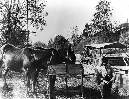 Mules pulling boats on the Chesapeake and Ohio Canal (C&O National Historic Park)