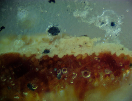 A microscopic view of 1785-1787 paint from the west front of the Mansion. (MVLA)