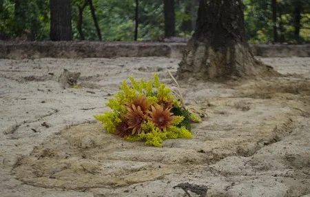 A bouquet of flowers marks an individual burial uncovered during the African American Burial Ground Survey. 