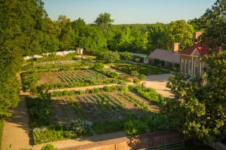 Upper Garden