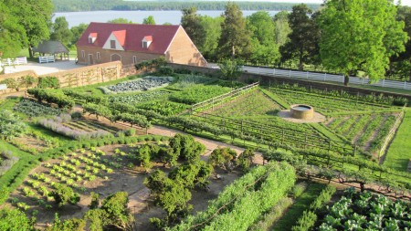 Lower Garden