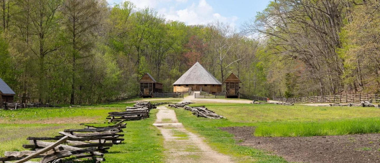 pioner-farm.jpg